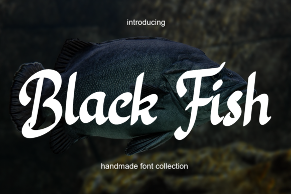 Black Fish: The Script Font That Stops the Scroll