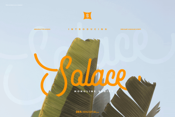 Designing with Solace: A Monoline Script for Modern Brand Identity