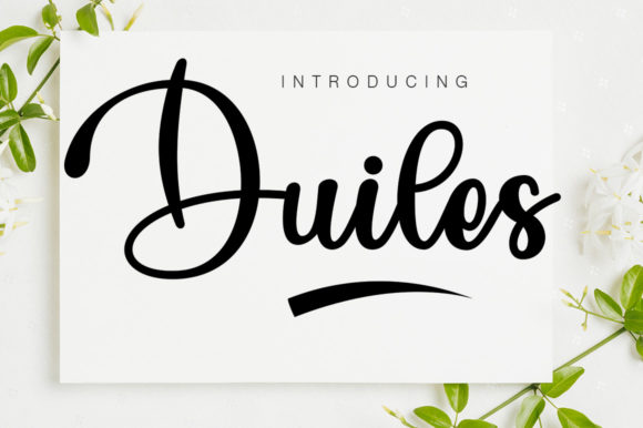 Duiles: The Script Font That Elevates Your Brand