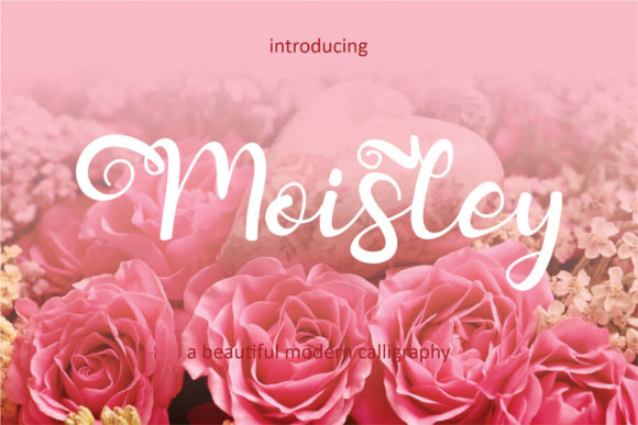Moisley Font Review: A Whimsical Script for Branding